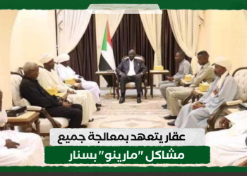 عقار يتعهد بمعالجة جميع مشاكل “مارينو” بسنار