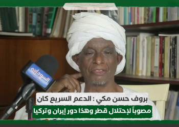 بروف حسن مكي : الدعم السريع كان مصوباً لإحتلال قطر وهذا دور إيران وتركيا
