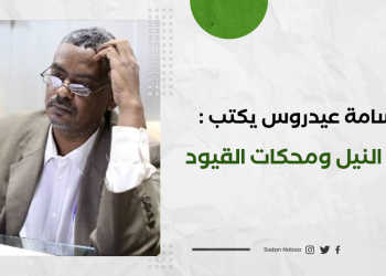 د. أسامة عيدروس يكتب: جرتق النيل ومحكات القيود 11 د. أسامة عيدروس يكتب: جرتق النيل ومحكات القيود