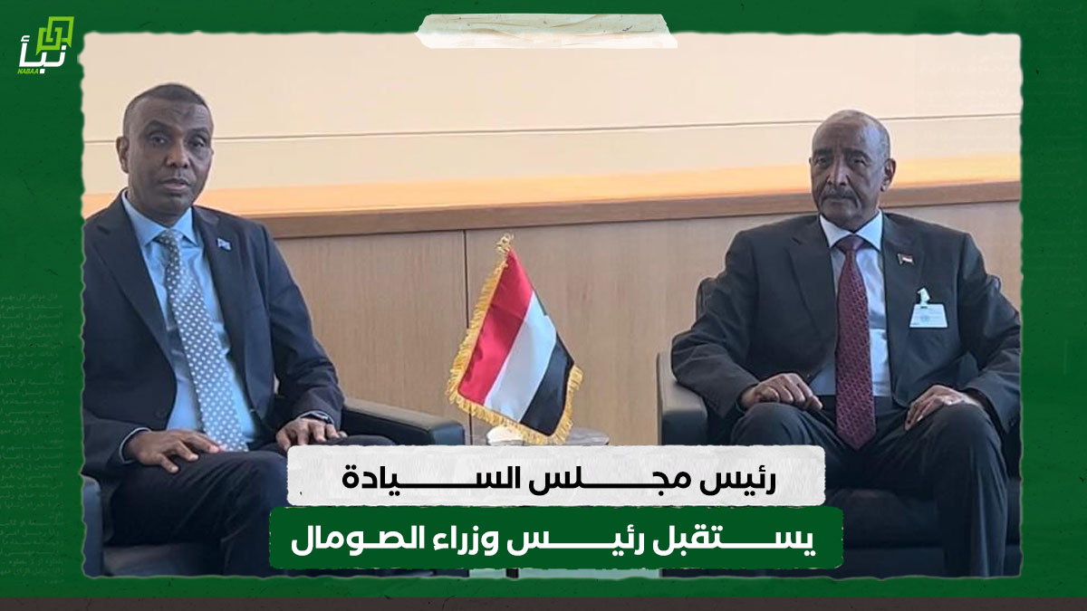 رئيس مجلس السيادة يستقبل رئيس وزراء الصومال 10 رئيس مجلس السيادة يستقبل رئيس وزراء الصومال