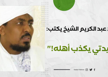 دكتور محمد عبد الكريم الشيخ يكتب:"حميدتي يكذب أهله!" 13 دكتور محمد عبد الكريم الشيخ يكتب:”حميدتي يكذب أهله!”