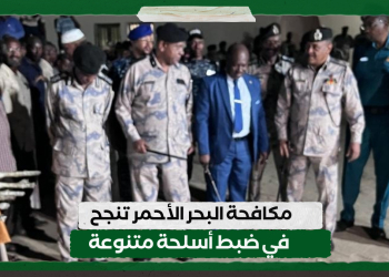 مكافحة البحر الأحمر تنجح في ضبط أسلحة متنوعة