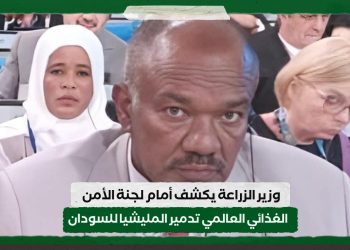 وزير الزراعة يكشف أمام لجنة الأمن الغذائي العالمي تدمير المليشيا للسودان