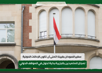 سفير السودان بفيينا: اتمنى أن تكون الإدانات الدولية لمجازر المتمردين بالجزيرة بداية تحول في الموقف الدولي