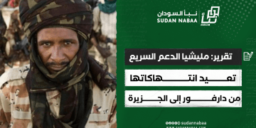 تقرير: مليشيا الدعم السريع تعيد انتهاكاتها من دارفور إلى الجزيرة!