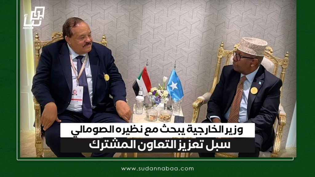 وزير الخارجية يبحث مع نظيره الصومالي سبل تعزيز التعاون المشترك 1 IMG 20241112 133431
