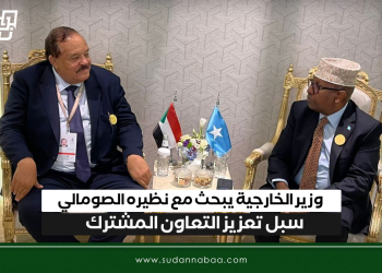 وزير الخارجية يبحث مع نظيره الصومالي سبل تعزيز التعاون المشترك