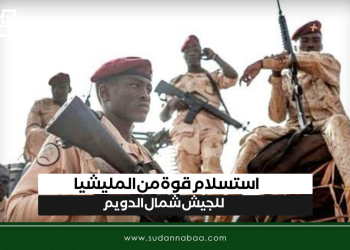 استسلام قوة من المليشيا للجيش شمال الدويم
