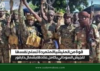 قوة من المليشيا المتمردة تسلم نفسها للجيش السوداني بكامل عتادها بشمال دارفور
