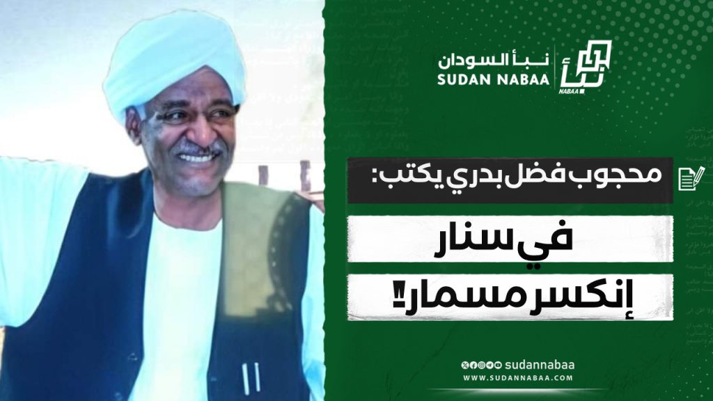محجوب فضل بدری يكتب: فی سنار إنكسر مسمار !! 1 IMG 20241204 142727