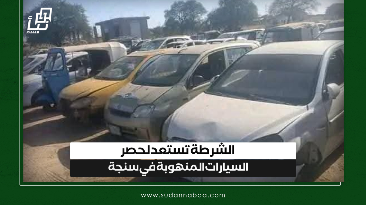 الشرطة تستعد لحصر السيارات المنهوبة في سنجة 10 الشرطة تستعد لحصر السيارات المنهوبة في سنجة