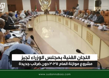 اللجان الفنية بمجلس الوزراء تجيز مشروع موازنة العام ٢٠٢٥ دون ضرائب جديدة