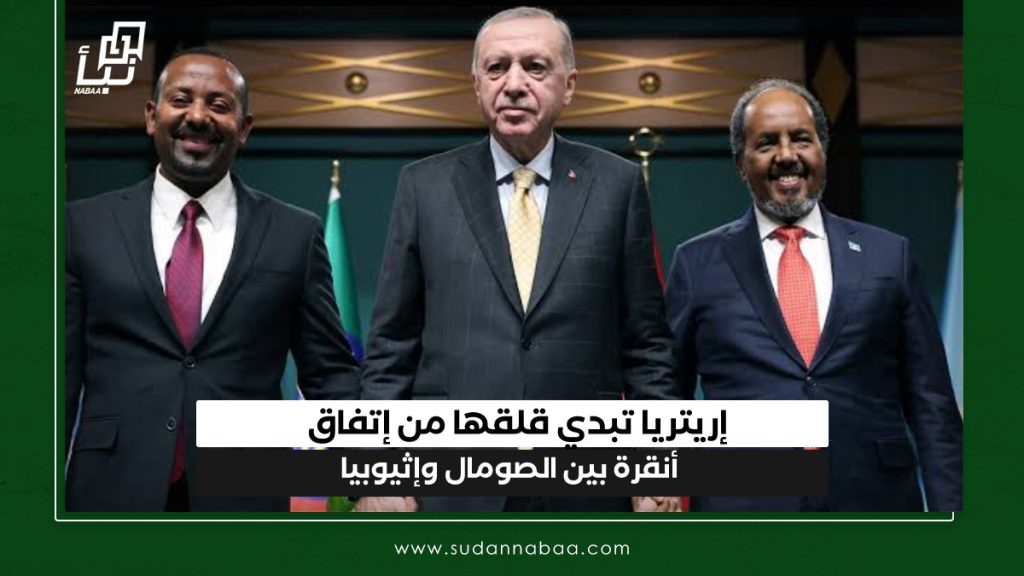 إريتريا تبدي قلقها من إتفاق أنقرة بين الصومال وإثيوبيا 1 IMG 20241228 131637