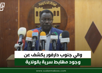 والي جنوب دارفور يكشف عن وجود مهابط سرية بالولاية