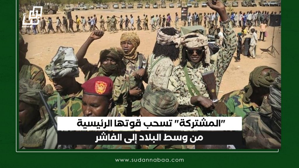 خبر موقع نبأ 17