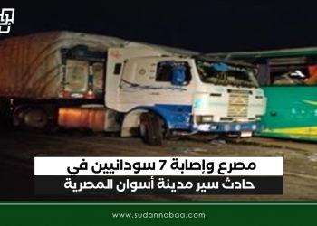 مصرع وإصابة 7 سودانيين في حادث سير مدينة أسوان المصرية