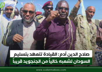 صلاح الدين آدم: القيادة تتعهد بتسليم السودان لشعبه خالياً من الجنجويد قريباً