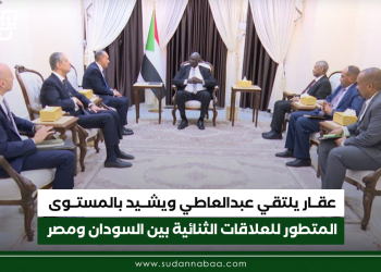 عقار يلتقي عبدالعاطي ويشيد بالمستوى المتطور للعلاقات الثنائية بين السودان ومصر