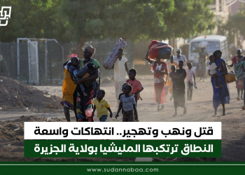 قتل ونهب وتهجير.. انتهاكات واسعة النطاق ترتكبها المليشيا بولاية الجزيرة