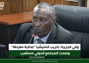والي الجزيرة: تخريب المليشيا “عدائية مفرطة” وصمت المجتمع الدولي مستغرب