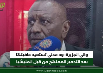 والي الجزيرة: ود مدني تستعيد عافيتها بعد التدمير الممنهج من قبل المليشيا
