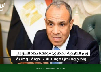 وزير الخارجية المصري: موقفنا تجاه السودان واضح ومنحاز لمؤسسات الدولة الوطنية