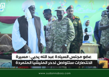 عضو مجلس السيادة عبد الله يحيي : مسيرة الانتصارات ستتواصل لدحر المليشيا المتمردة