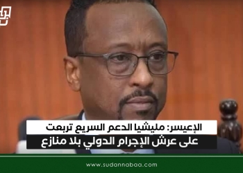 الإعيسر: مليشيا الدعم السريع تربعت على عرش الإجرام الدولي بلا منازع