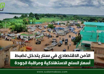 الأمن الاقتصادي في سنار يتدخل لضبط أسعار السلع الاستهلاكية ومراقبة الجودة