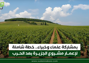 بمشاركة علماء وخبراء.. خطة شاملة لإعمار مشروع الجزيرة بعد الحرب