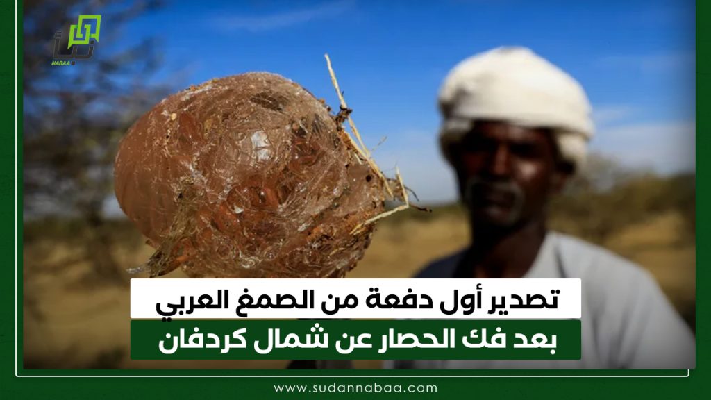 تصدير أول دفعة من الصمغ العربي بعد فك الحصار عن شمال كردفان 1 تصدير أول دفعة من الصمغ العربي بعد فك الحصار عن شمال كردفان