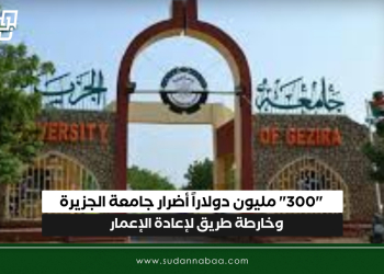 “300” مليون دولاراً أضرار جامعة الجزيرة وخارطة طريق لإعادة الإعمار