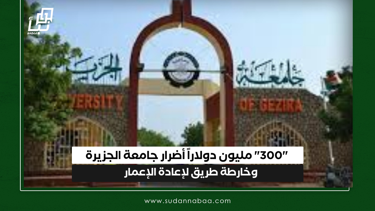"300" مليون دولاراً أضرار جامعة الجزيرة وخارطة طريق لإعادة الإعمار 10 “300” مليون دولاراً أضرار جامعة الجزيرة وخارطة طريق لإعادة الإعمار