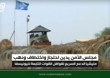 مجلس الأمن يدين  احتجاز واختطاف ونهب مليشيا الدعم السريع لقوافل القوات التابعة لليونيسفا