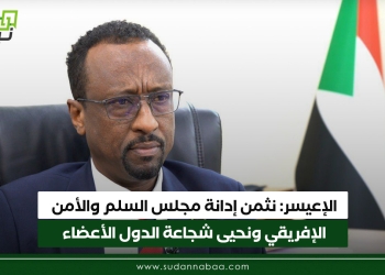 الإعيسر: نثمن إدانة مجلس السلم والأمن الإفريقي ونحيى شجاعة الدول الأعضاء