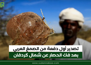 تصدير أول دفعة من الصمغ العربي بعد فك الحصار عن شمال كردفان