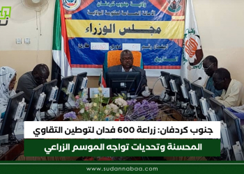 جنوب كردفان: زراعة 600 فدان لتوطين التقاوي المحسنة وتحديات تواجه الموسم الزراعي