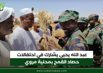 عبد الله يحيى يشارك في احتفالات حصاد القمح بمحلية مروي