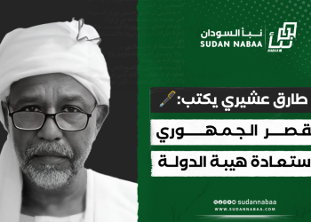 “همسة وطنية”.. د. طارق عشيري يكتب: القصر الجمهوري واستعادة هيبة الدولة