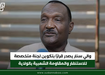 والي سنار يصدر قرارًا بتكوين لجنة متخصصة للاستنفار والمقاومة الشعبية بالولاية