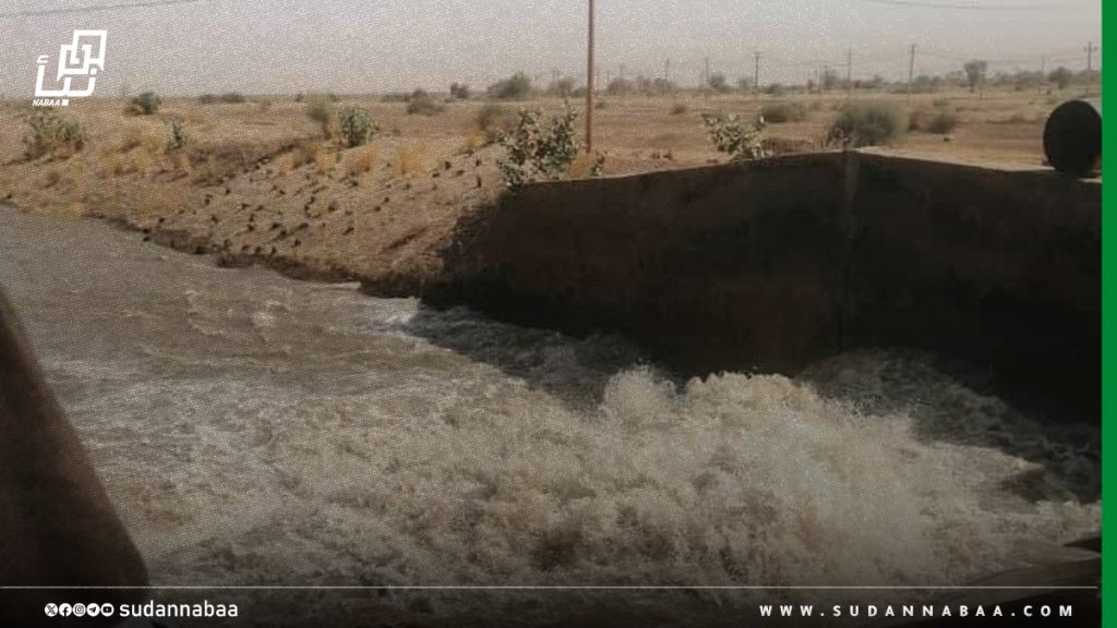 تشغيل طلمبات السوكي والتعاقد مع "المنظومات الدفاعية" لزراعة 10 آلاف فدان بمجمع كساب 1 تشغيل طلمبات السوكي والتعاقد مع المنظومات الدفاعية لزراعة 10 آلاف فدان بمجمع كساب