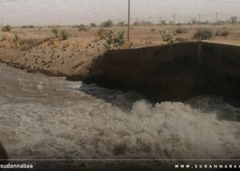 تشغيل طلمبات السوكي والتعاقد مع “المنظومات الدفاعية” لزراعة 10 آلاف فدان بمجمع كساب