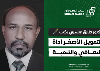 دكتور طارق عشيري يكتب: التمويل الأصغر أداة للتعافي والتنمية
