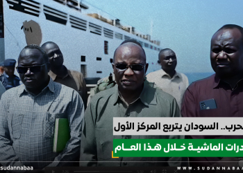 رغم الحرب.. السودان يتربع المركز الأول لصادرات الماشية خلال هذا العام