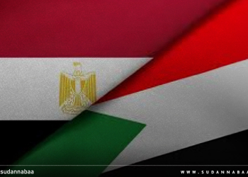 مصر تدعم استئناف عضوية السودان في عملية الخرطوم وتؤكد أن السودان سيتجاوز محنته قريباً