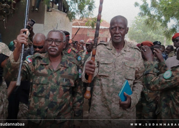 من جلقني.. والي سنار: لن يهدأ لنا بال حتى تحرير آخر شبر من أرض السودان