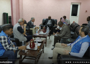 وزارة الصحة بالخرطوم تشيد بدور برنامج الأمم المتحدة الإنمائي في دعم القطاع الصحي وإعادة الإعمار