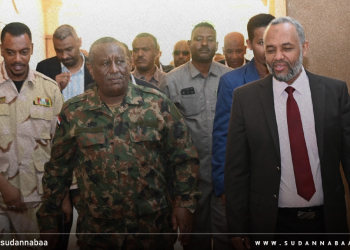 وفد من وزارة الصحة الاتحادية يتفقد الأوضاع الصحية بولاية الجزيرة ويتابع جهود إعادة الإعمار