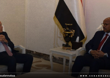 جابر يلتقي الأمين العام للجامعة العربية 
