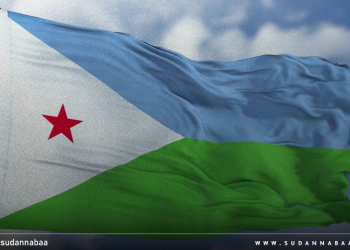 جمهورية جيبوتي تنشر بياناً تُدين فيه الهجمات على بورتسودان وكسلا